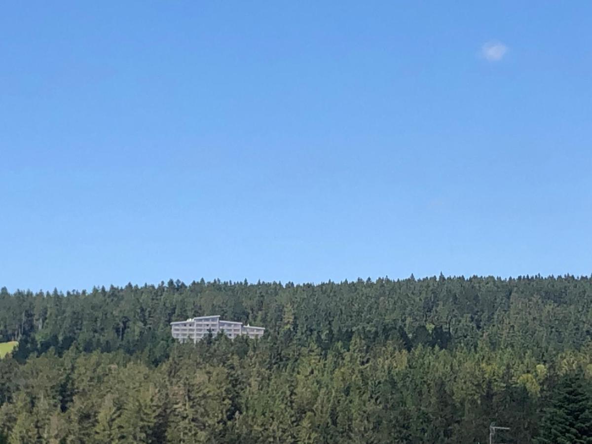 Panorama Bayerwald Apartment Neureichenau Luaran gambar