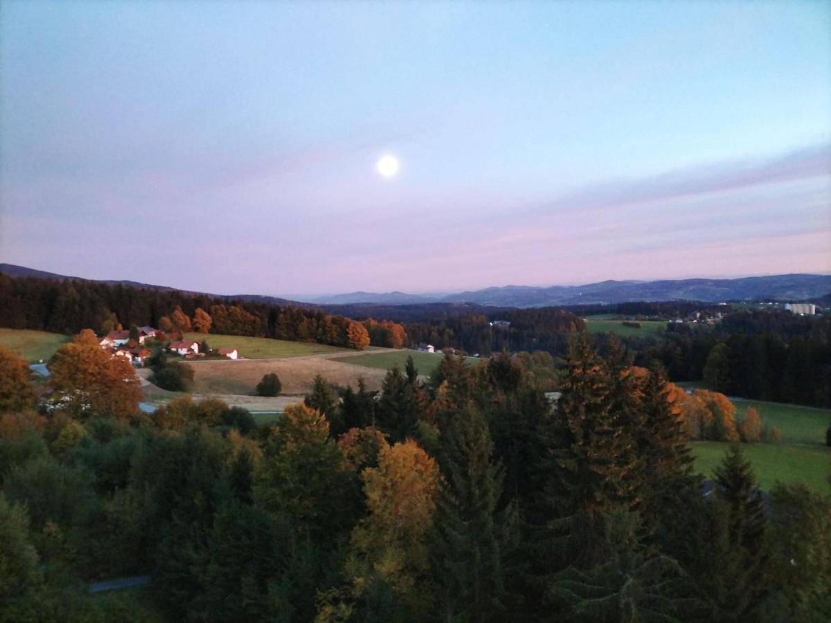 Panorama Bayerwald Apartment Neureichenau Luaran gambar