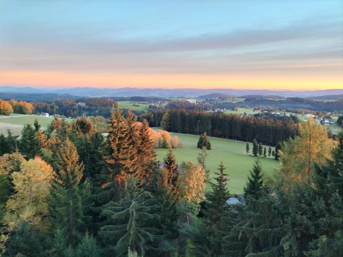 Panorama Bayerwald Apartment Neureichenau Luaran gambar