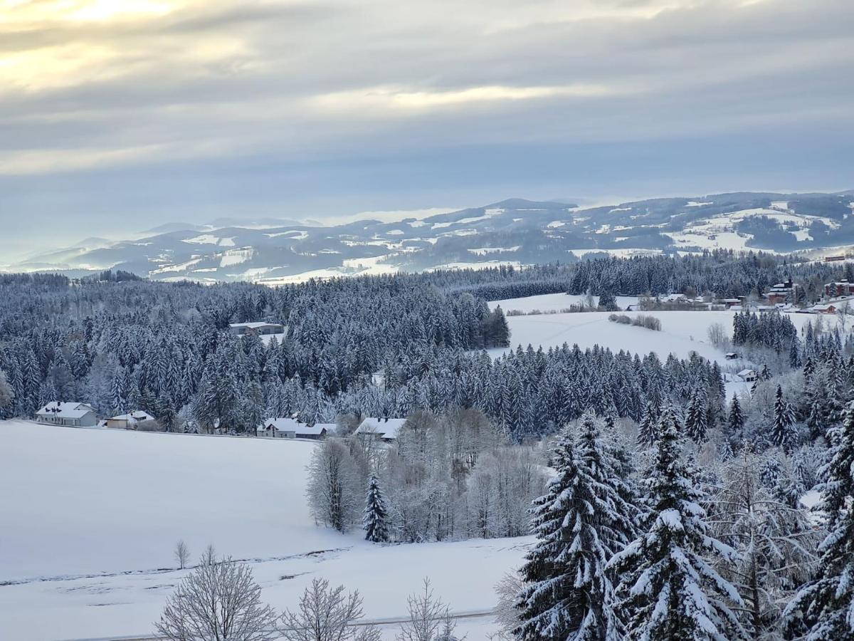 Panorama Bayerwald Apartment Neureichenau Luaran gambar